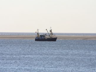 Fischkutter auf einer Sandbank bei Ebbe